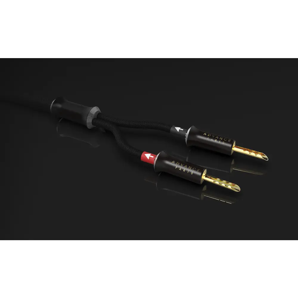 LINK-Luidsprekerkabel