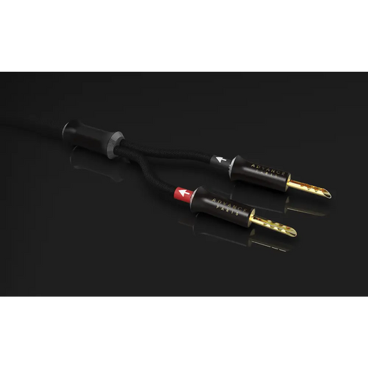 LINK-Luidsprekerkabel