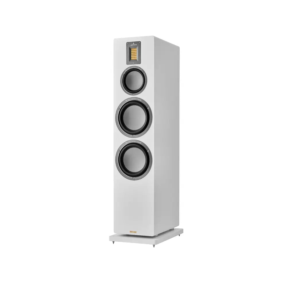 Audiovector QR 7 SE set Audiovector NextHifi