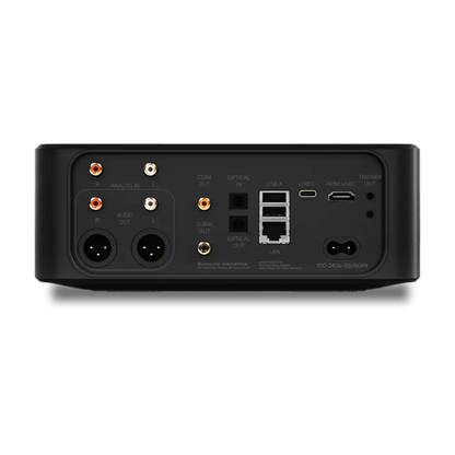 Bluesound NODE ICON Bluesound NextHifi