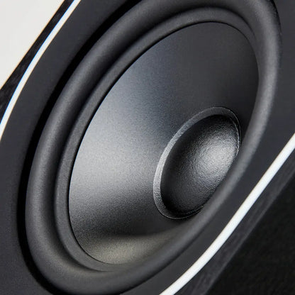 PMC prophecy5 set - Floorstanding Speaker