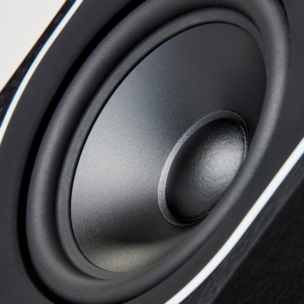 PMC prophecy5 set - Floorstanding Speaker