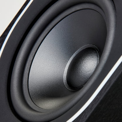 PMC prophecy5 set - Floorstanding Speaker